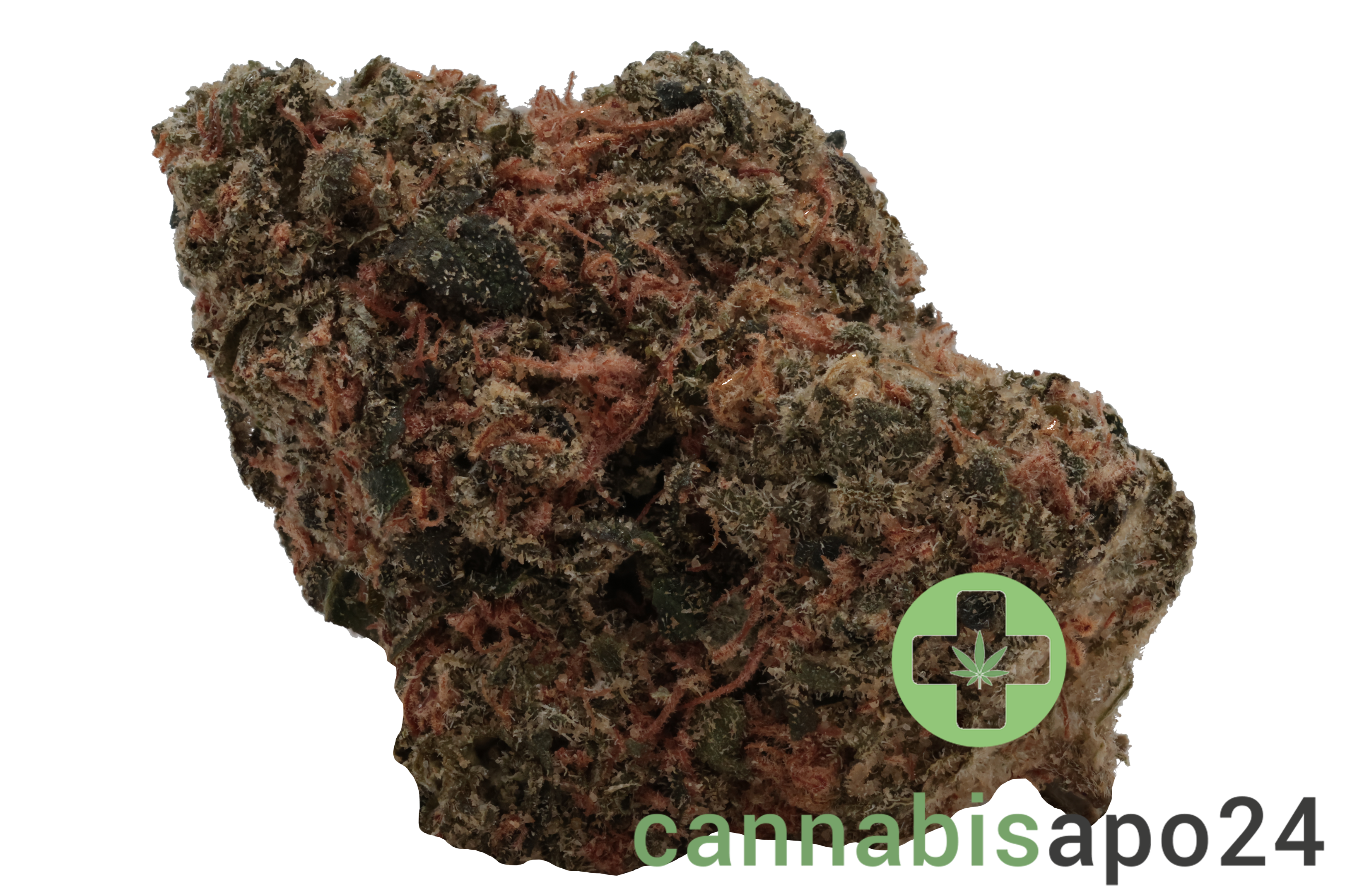 Huala 27/1 CA ALM Alien Mints