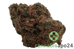 Huala 27/1 CA ALM Alien Mints