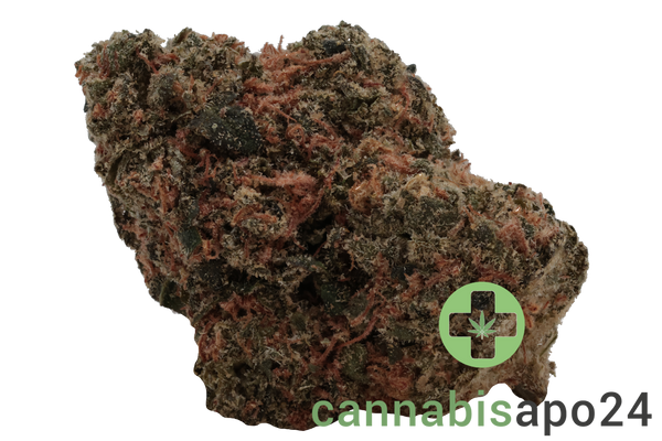 Huala 27/1 CA ALM Alien Mints