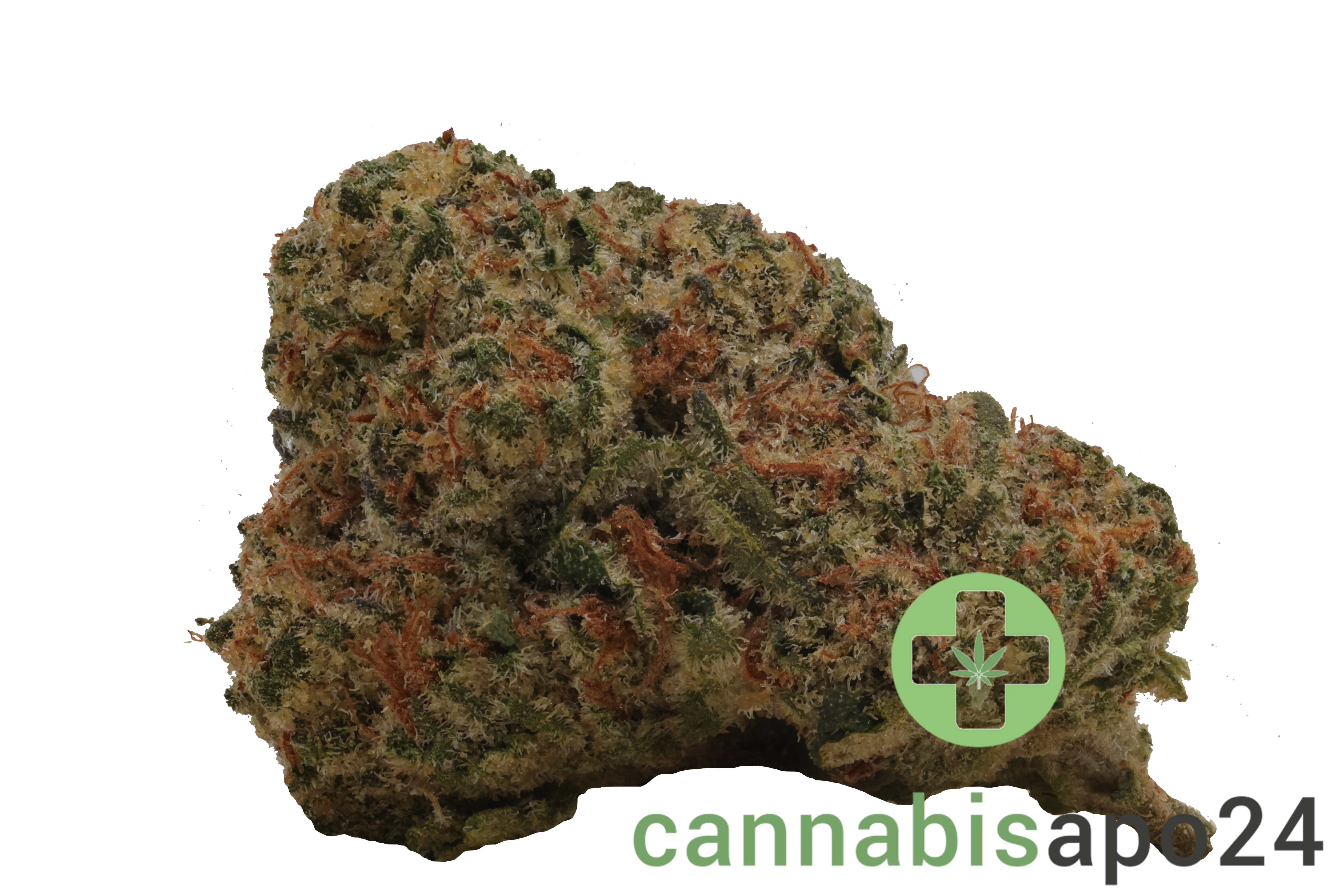 Huala 27/1 CA OSB Orange Sherbet
