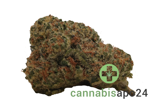 Huala 27/1 CA OSB Orange Sherbet