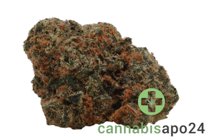 Huala 27/1 UK SEK Spiced Earth Kush