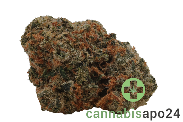 Huala 27/1 UK SEK Spiced Earth Kush