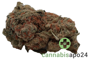 Huala 27/1 UK WTR Waffle Truffle