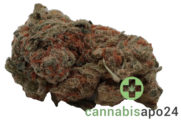 Huala 27/1 UK WTR Waffle Truffle