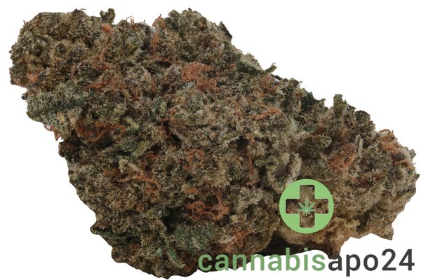 Huala 30/1 CA AMK Animal Kush