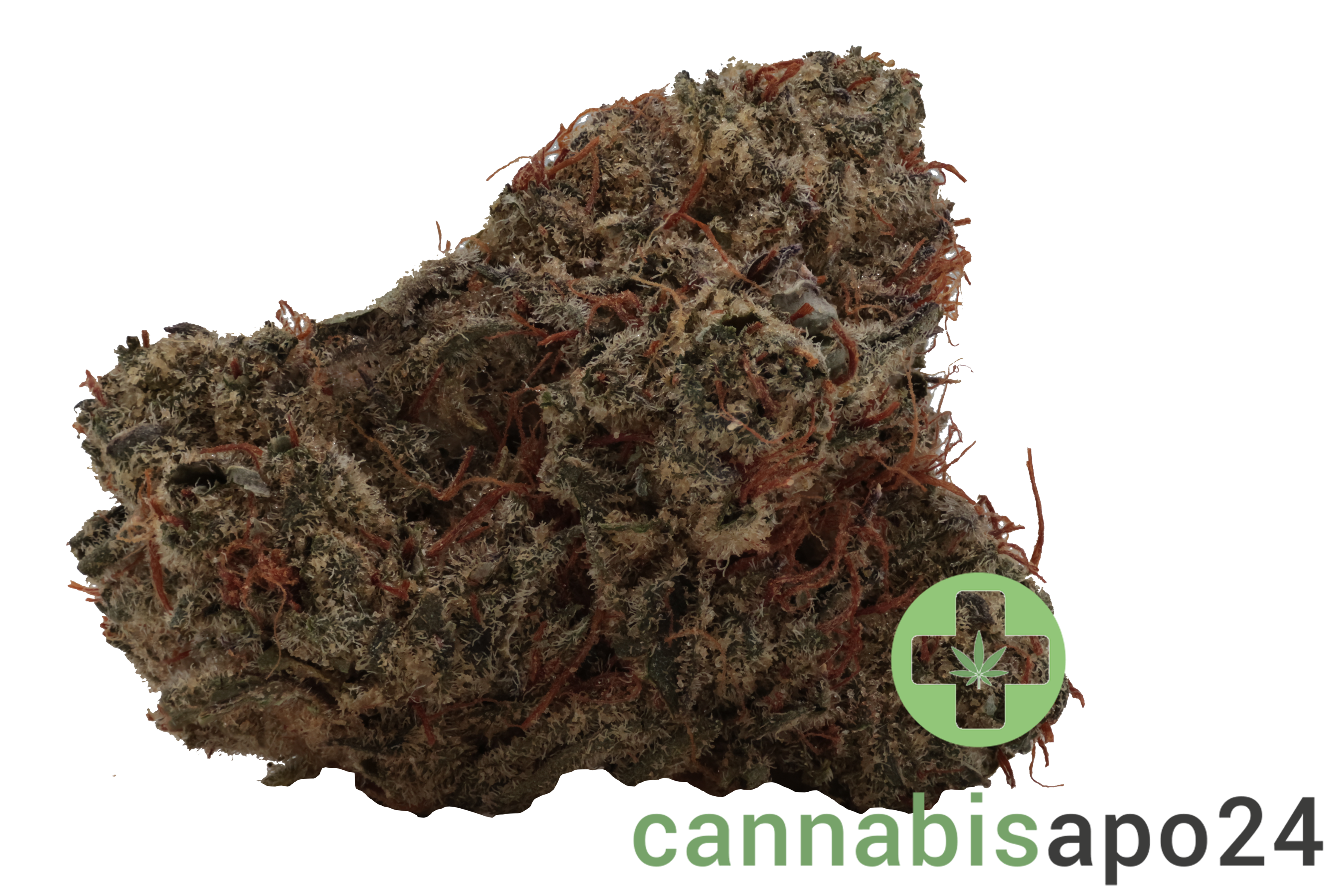 Huala 30/1 CA SCO Scoops