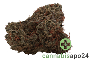 Huala 30/1 CA SCO Scoops