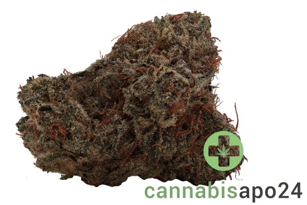 Huala 30/1 CA SCO Scoops