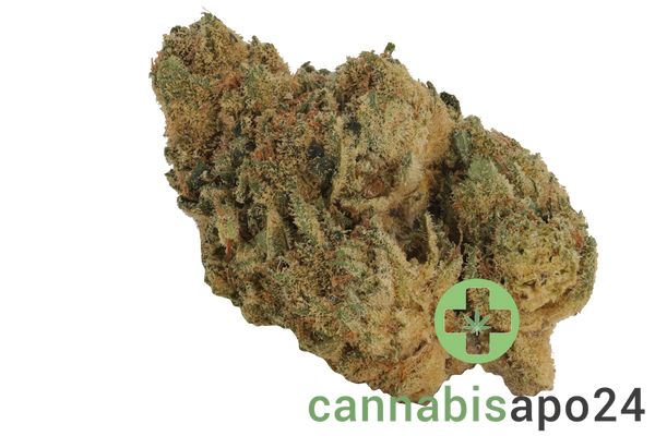 IMC B1 THC24 London Citrus Cake