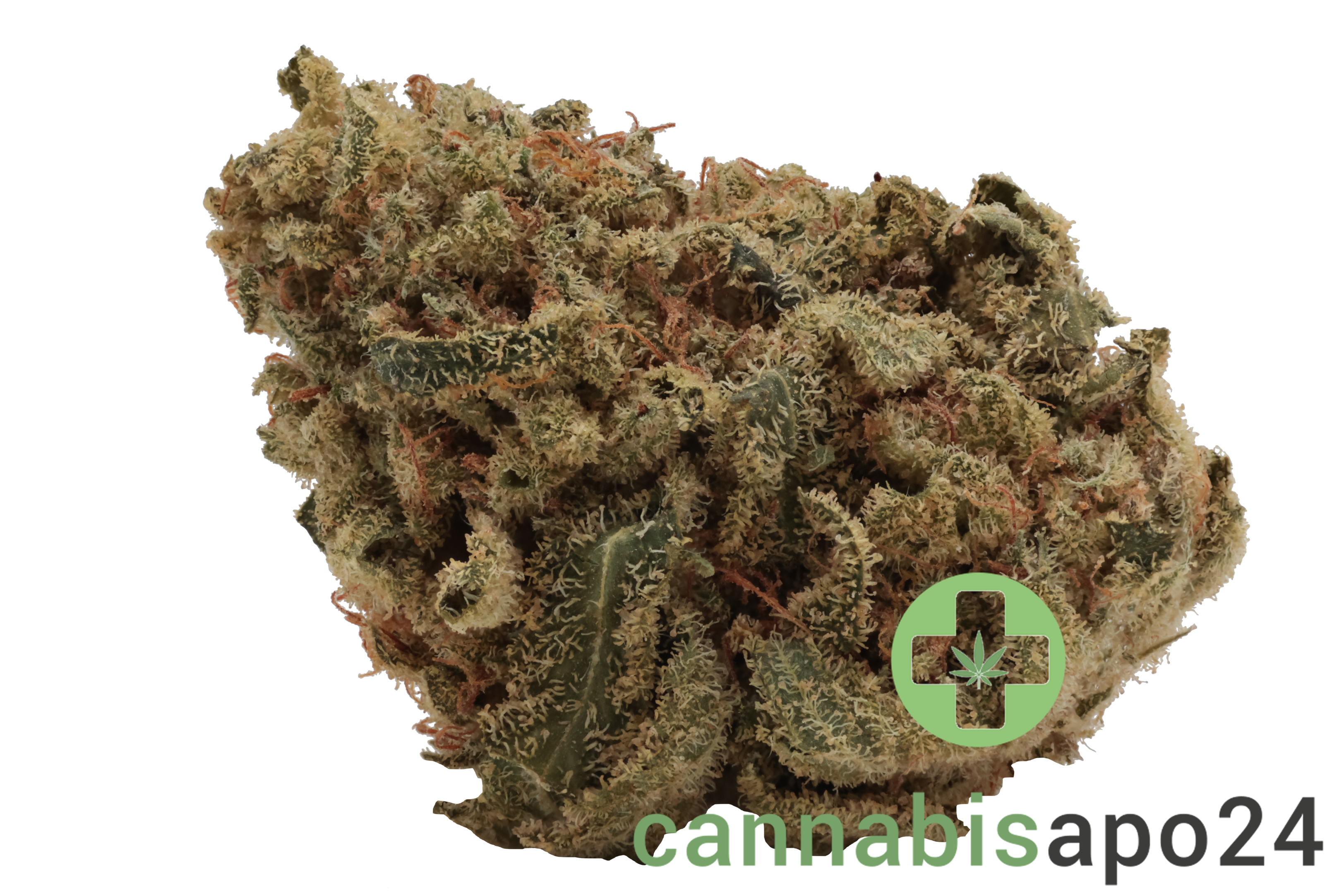 IMC BAJ THC27 Token Clementine