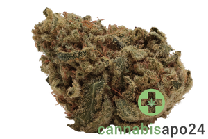 IMC BAJ THC27 Token Clementine