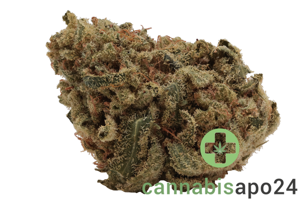 IMC BAJ THC27 Token Clementine