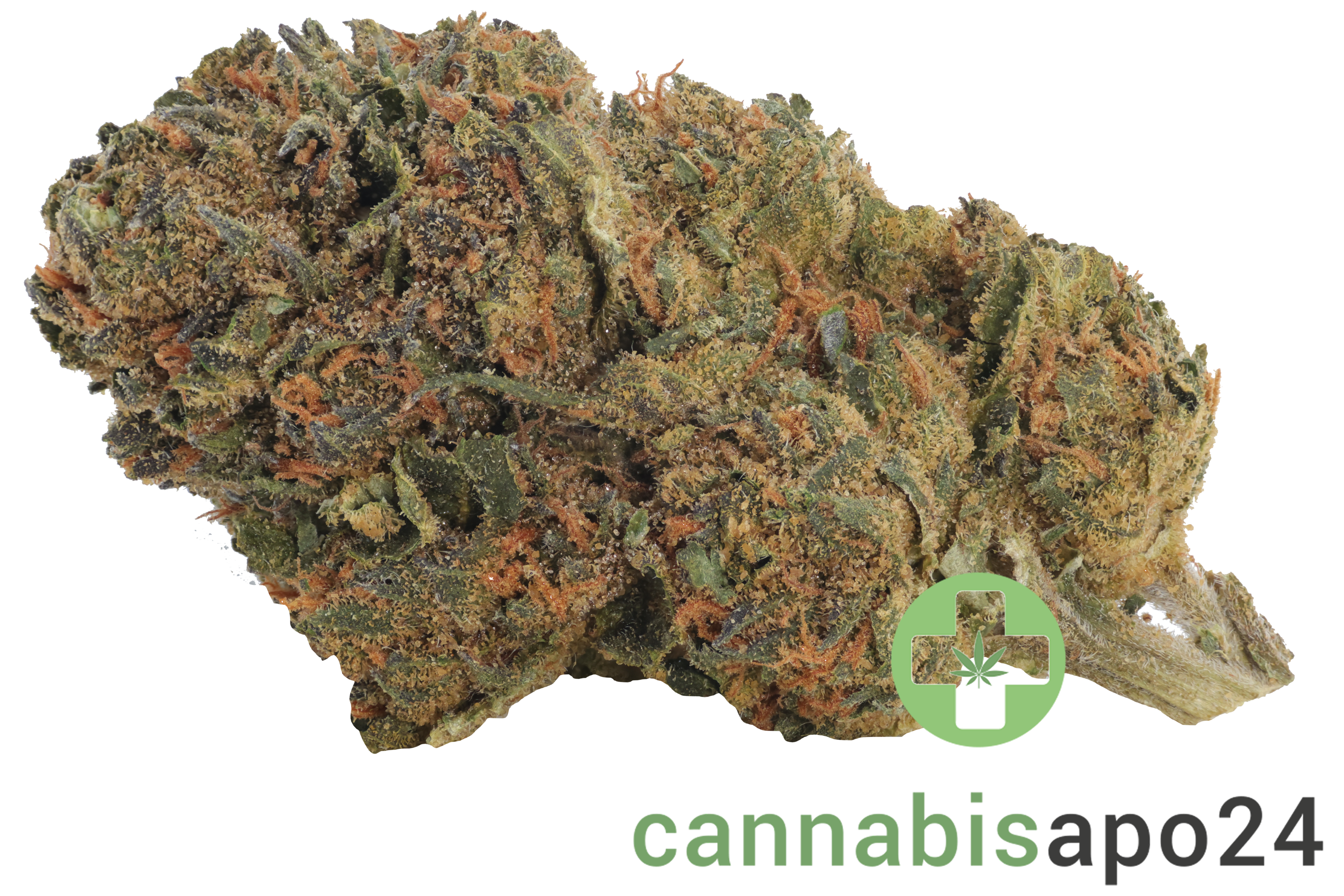 IMC BM THC26 Selected Neville's Skunk