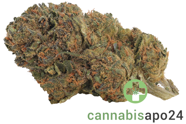 IMC BM THC26 Selected Neville's Skunk