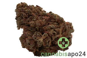 IMC CR7 THC20 Mids Animal Mints