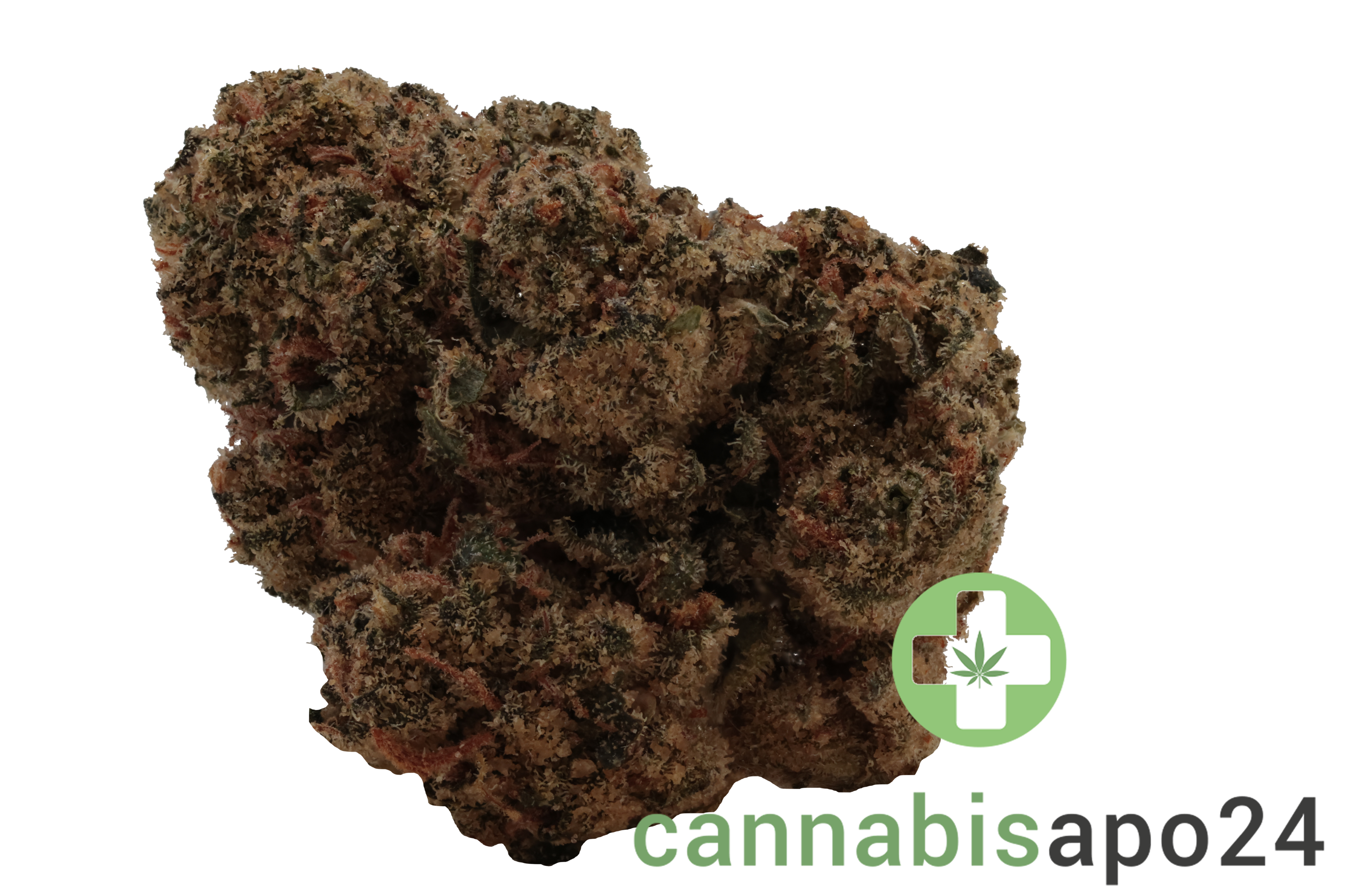 IMC GP5 THC28 Selected Icy Biscotti Pop