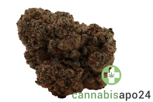 IMC GP5 THC28 Selected Icy Biscotti Pop