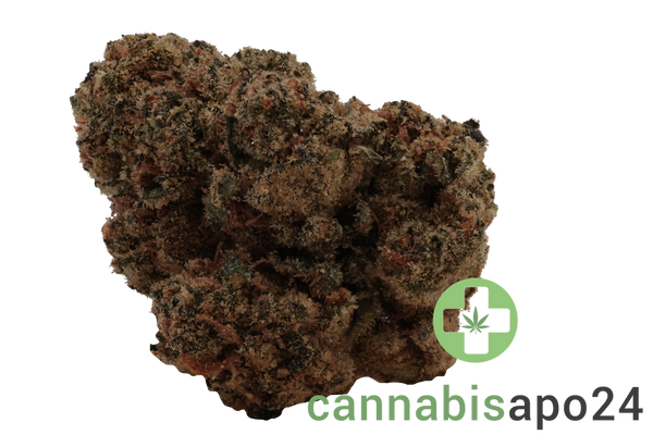 IMC GP5 THC28 Selected Icy Biscotti Pop