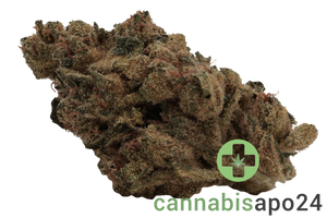 IMC GRZ THC25 MIDS Jungle Pop