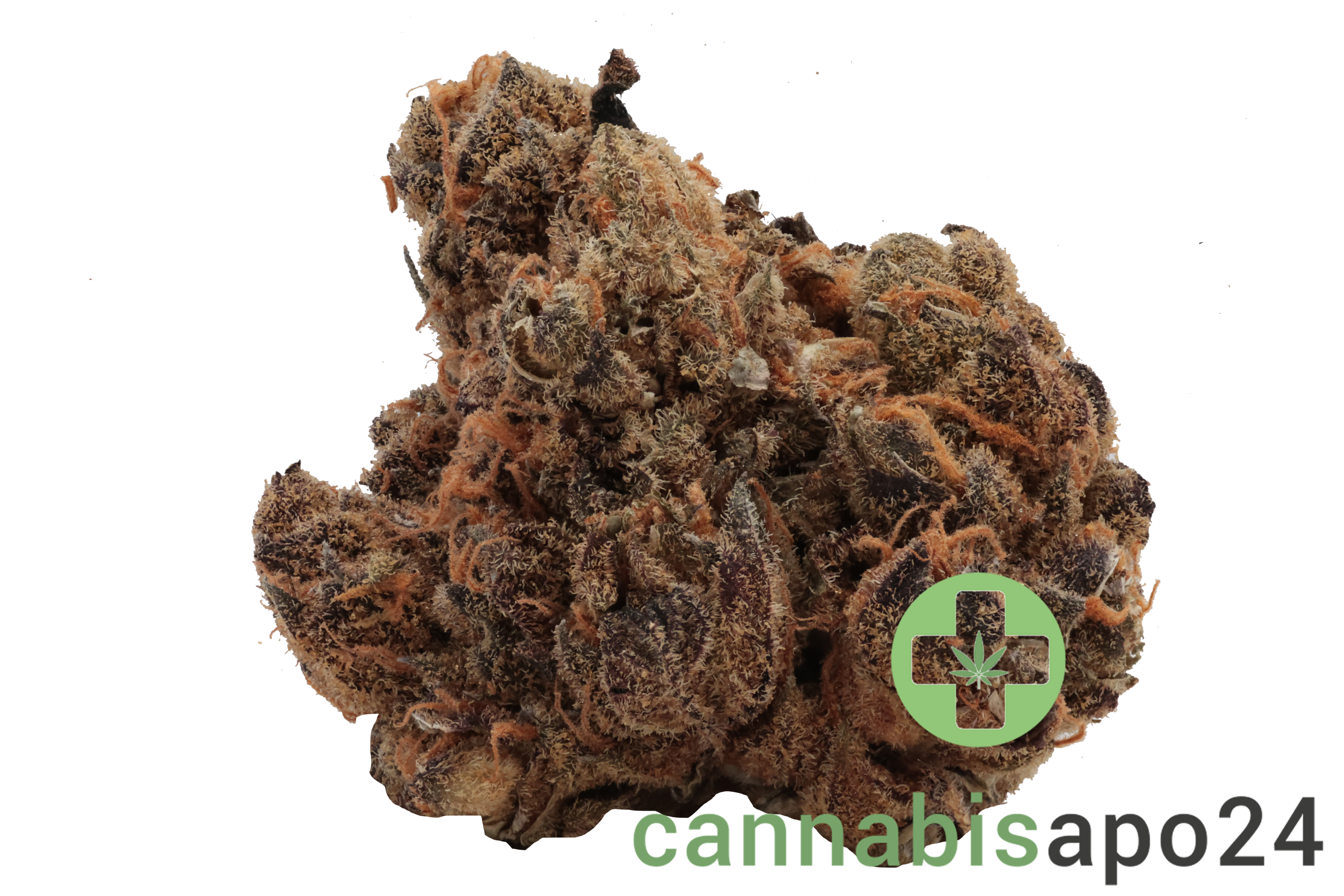 IMC HW THC18 Token Hollywood