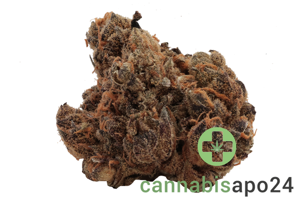 IMC HW THC18 Token Hollywood