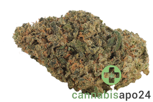 IMC IF THC26 Infinity Fuel