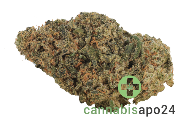 IMC IF THC26 Infinity Fuel