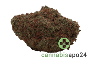 IMC LR THC27 Token Limonetti Rhino