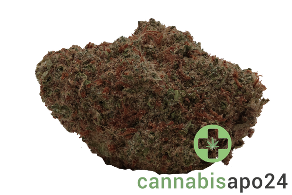 IMC LR THC27 Token Limonetti Rhino