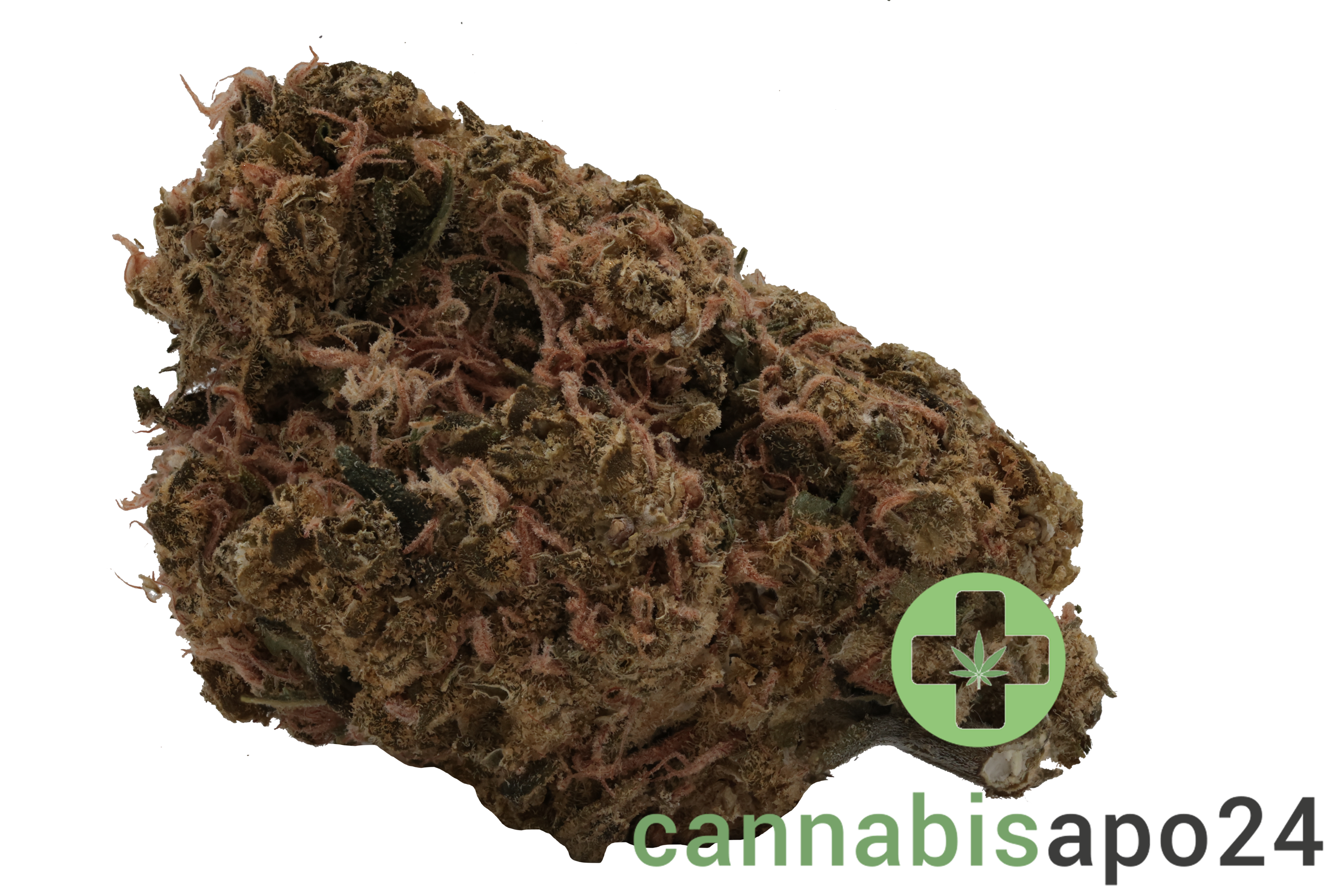 IMC PBG THC27 Token Sour Beach