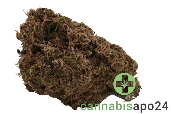 IMC PBG THC27 Token Sour Beach