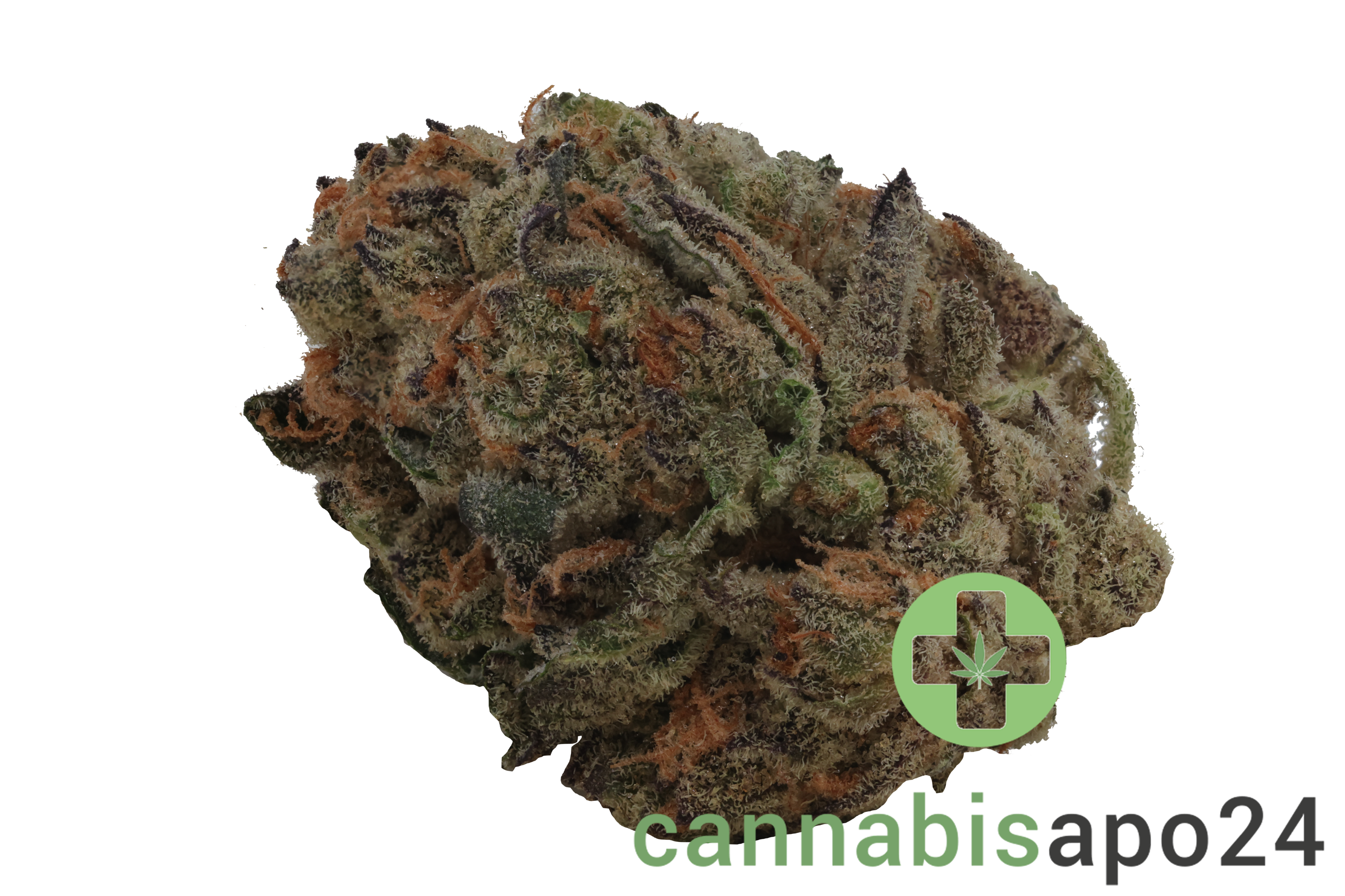 IMC GGA THC24 Purple Grape