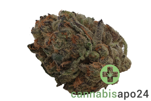 IMC GGA THC24 Purple Grape