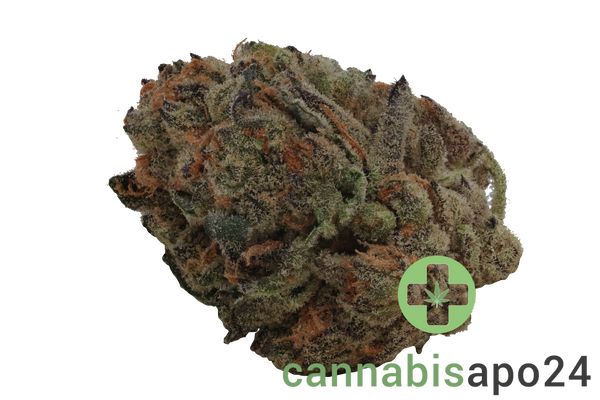 IMC GGA THC24 Purple Grape