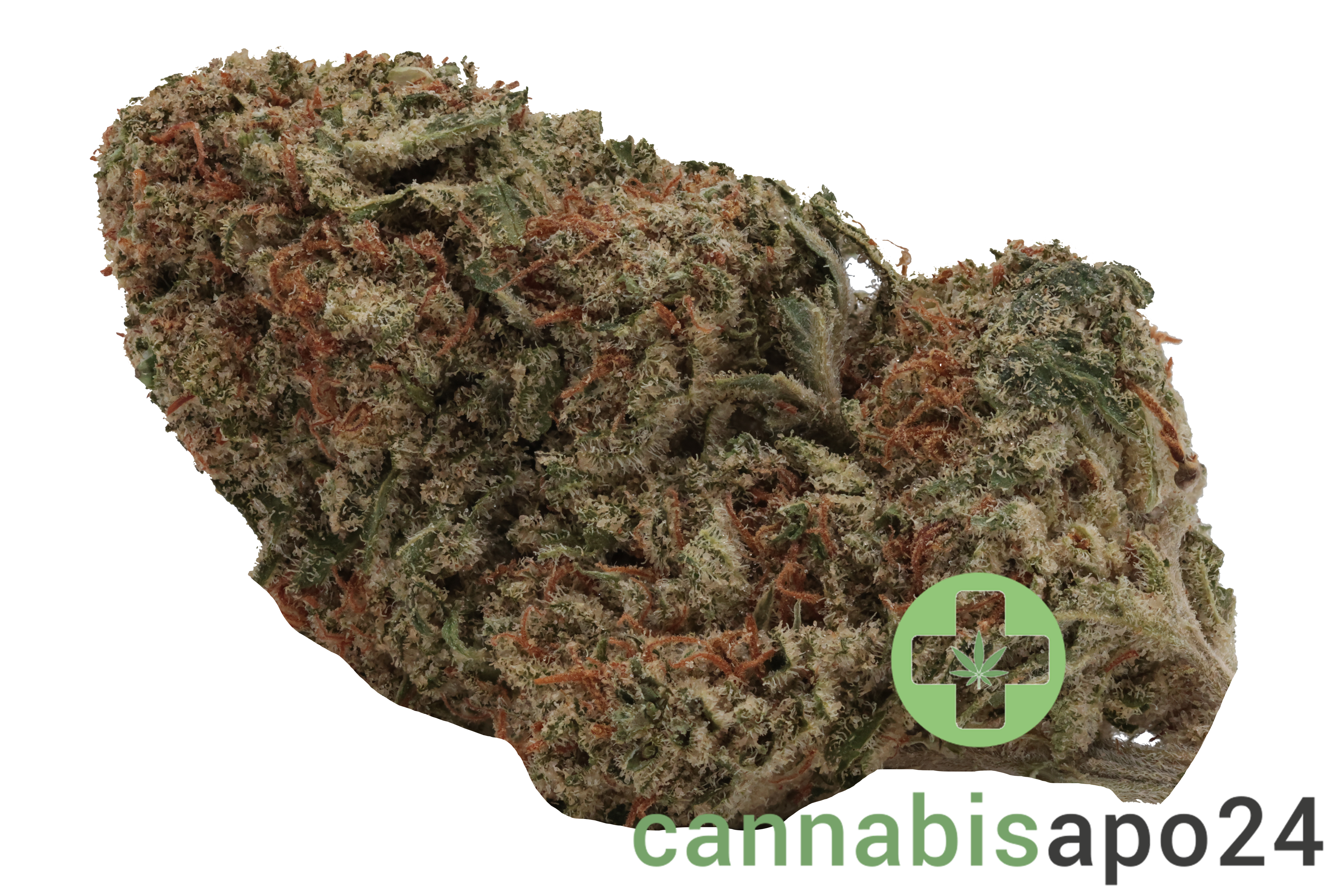 IMC THC 25 RWT White Rino