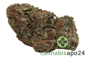 IMC THC 25 RWT White Rino