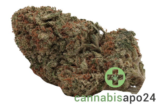 IMC THC 25 RWT White Rino