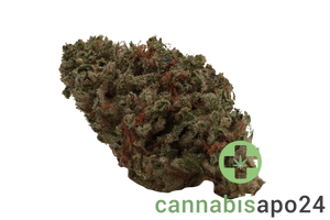 IMC THC 30 T03 GG4 Gorilla Glue 4