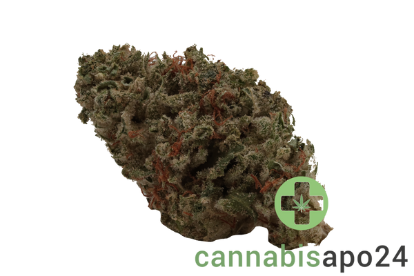 IMC THC 30 T03 GG4 Gorilla Glue 4