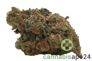 IMC Token SBP THC29 Sour Beach Pop