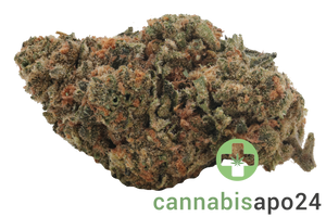 IMC Token SPC THC26 Sour Beach Purple Cake