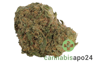 IMC TR7 THC25 Banana Tsunami