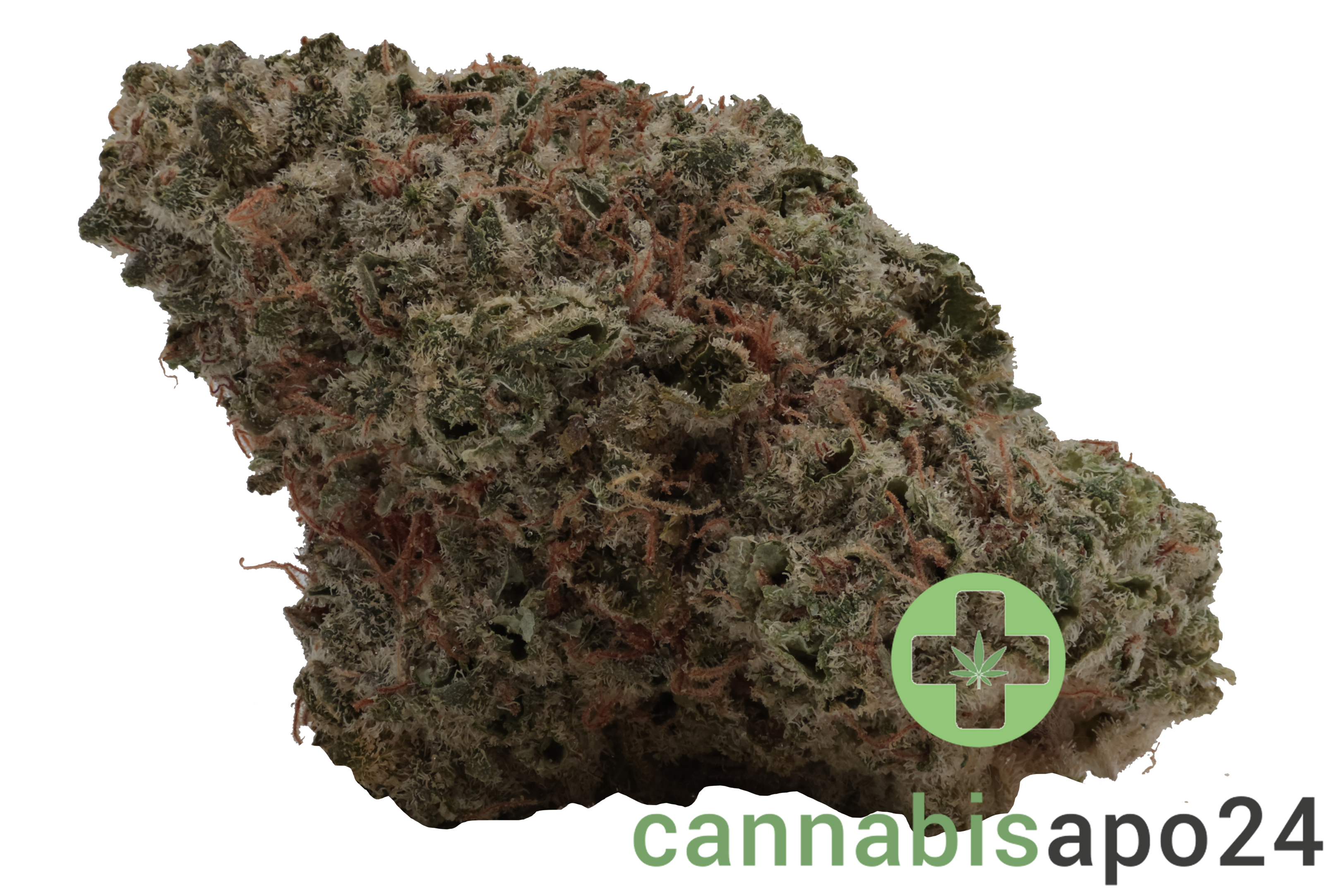 28/1 Iuvo KC OJ Zainbow