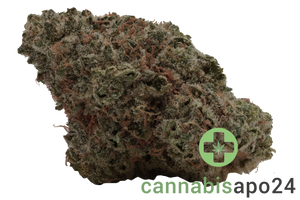 28/1 Iuvo KC OJ Zainbow