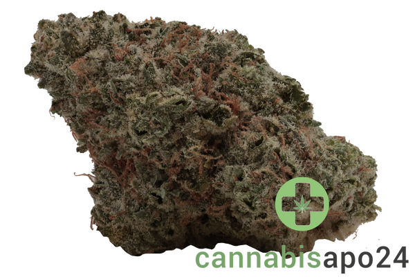 28/1 Iuvo KC OJ Zainbow