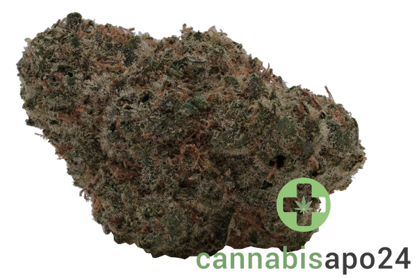 28/1 Iuvo OC Orange Z