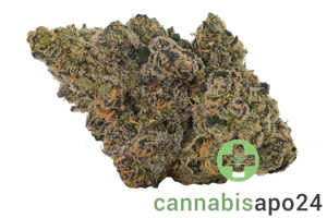 29/1 IUVO SQ Apples & Bananas