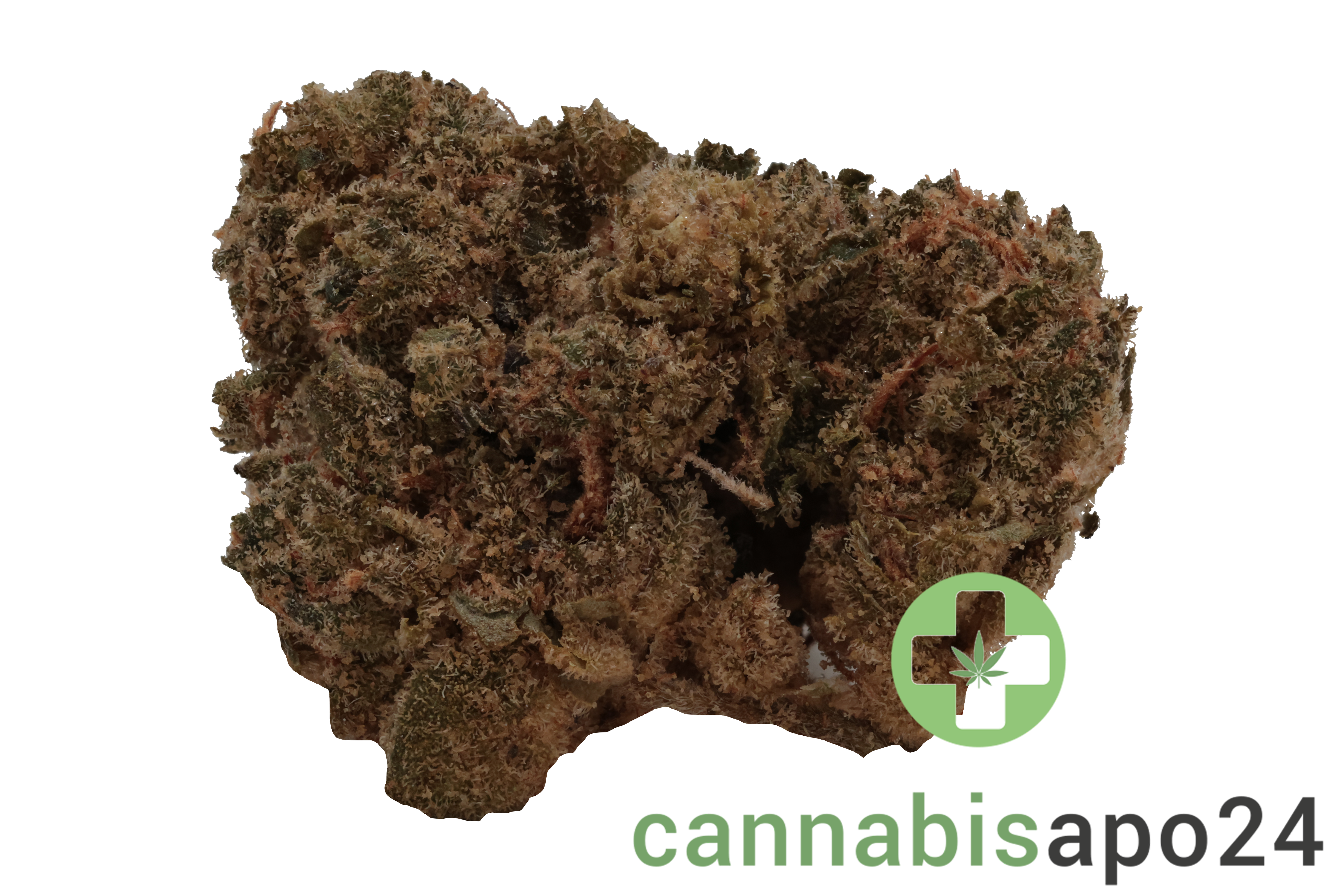 J.R. Strain 28/1 GP Gastro Pop