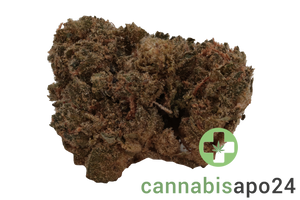 J.R. Strain 28/1 GP Gastro Pop